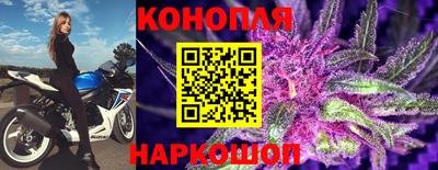 твердый Будённовск